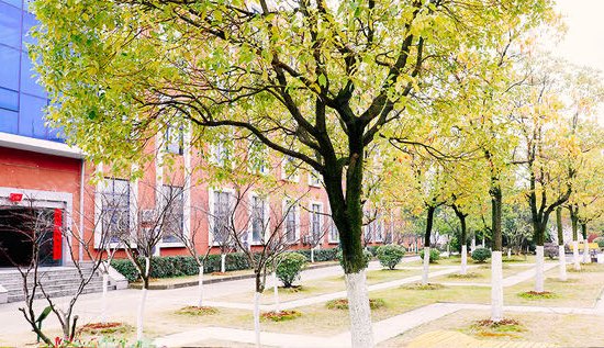 泰豪创意590创意园 