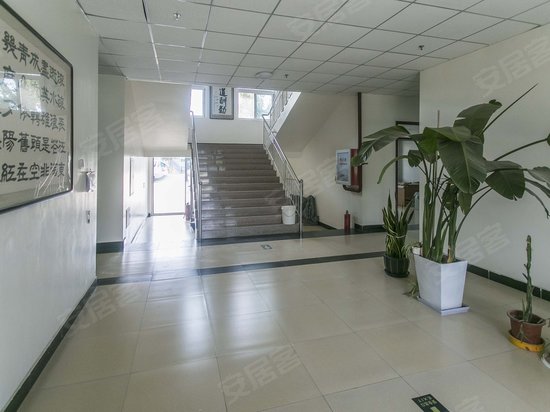 东方金叶文创园 