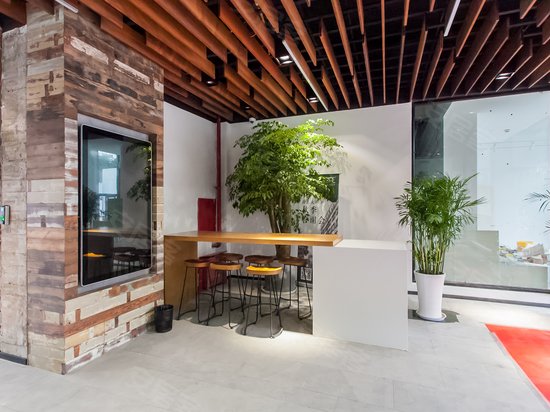 徐汇大树下创意办公 