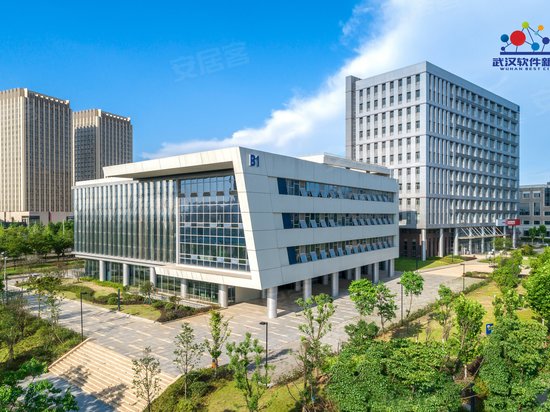 武汉软件新城1期 