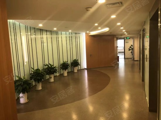 江苏国际经贸大厦