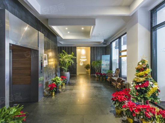 德必法华525创意树林 