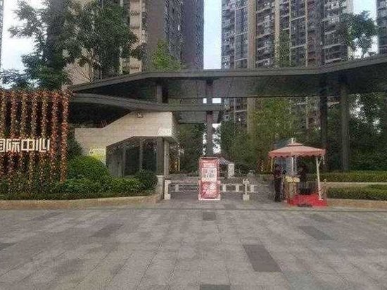 花样年龙年国际中心 