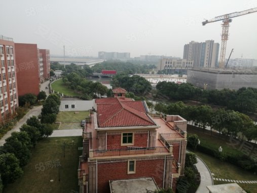 苗桥路455弄园区 