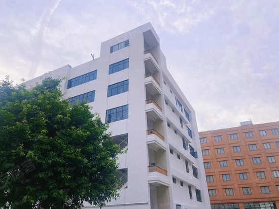 中创汇大石云核 