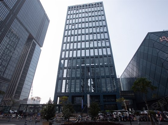 三新银座资募大厦 