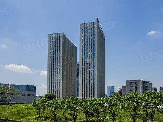 新希望中鼎国际