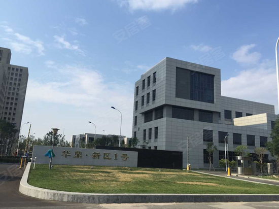 华鼎新区1号
