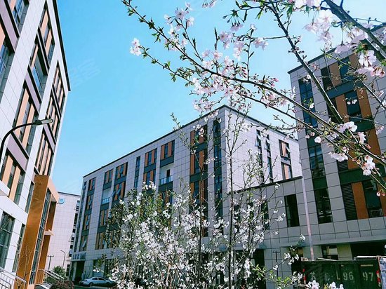 中南高科东西湖科创中心 