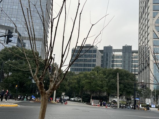 星立方大厦(办公) 