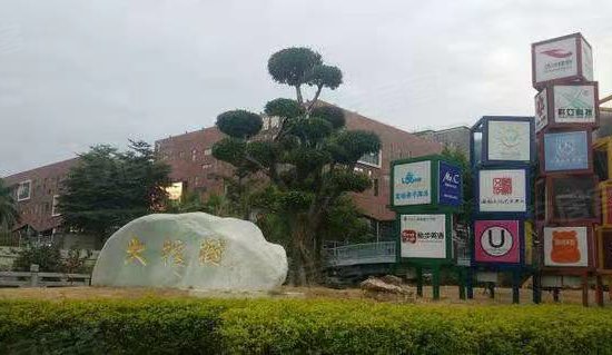大榕树创意园 