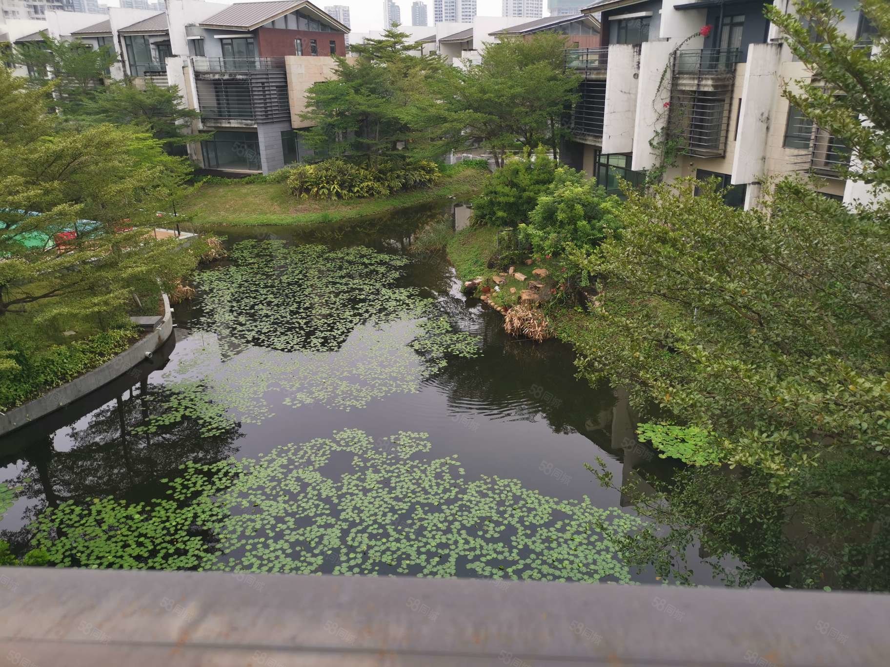 超低密度 满五商品房,华发水郡一期(别墅)-珠海58同城