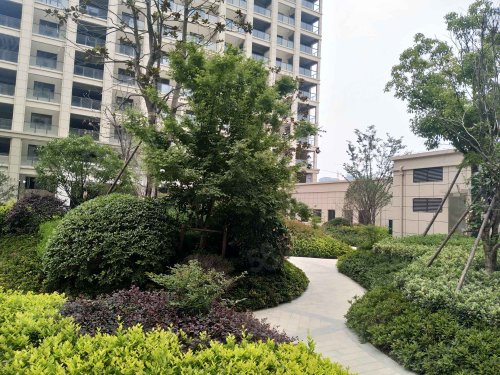 泽园未来城房屋出租,泽园未来城二手房出售】- 建湖58同城