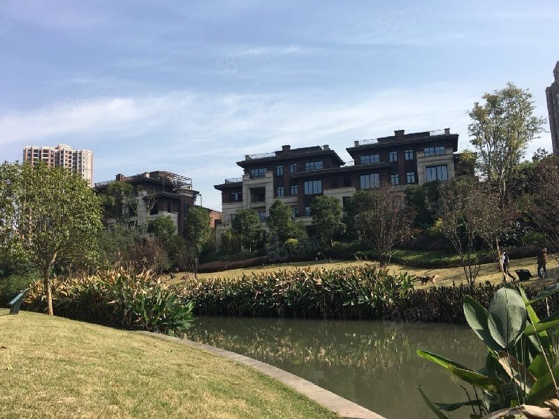 金科廊桥水乡美丽墅别墅内环绕城高速间