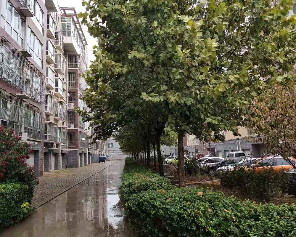 【阳光水岸(赞皇), 阳光水岸(赞皇)小区详情,房价走势,房源,业主论坛