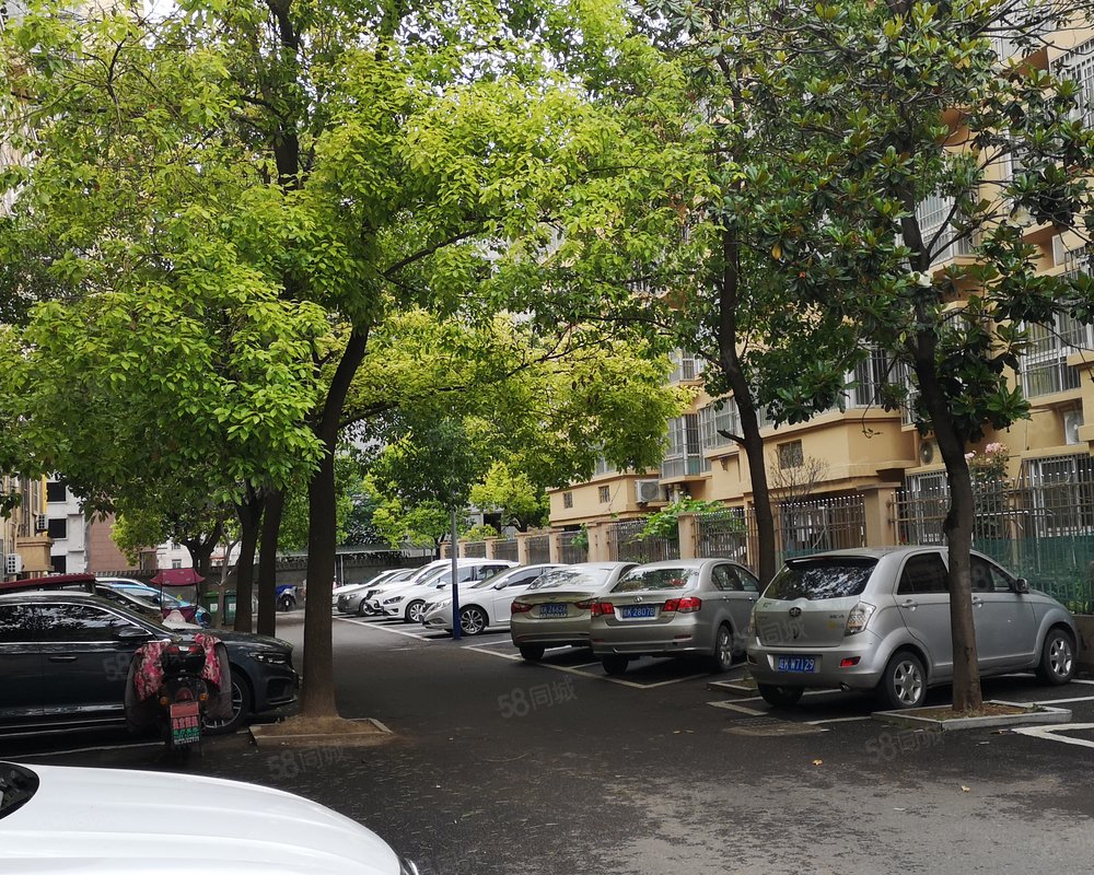 【香樟园, 香樟园小区详情,房价走势,房源,业主论坛】- 阜阳58同城