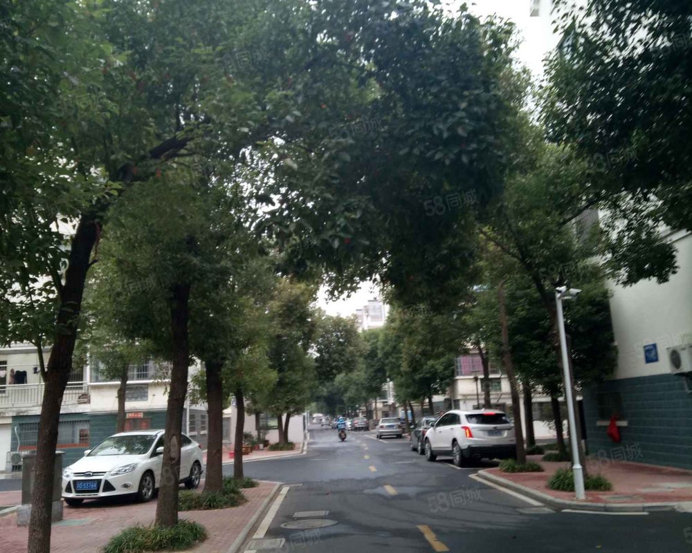 【东华园, 东华园小区详情,房价走势,房源,业主论坛】- 溧阳58同城