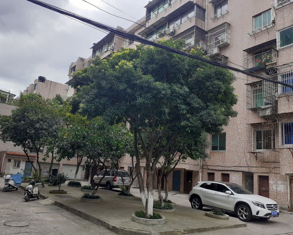 【仓前街小区, 仓前街小区小区详情,房价走势,房源,业主论坛】- 长兴