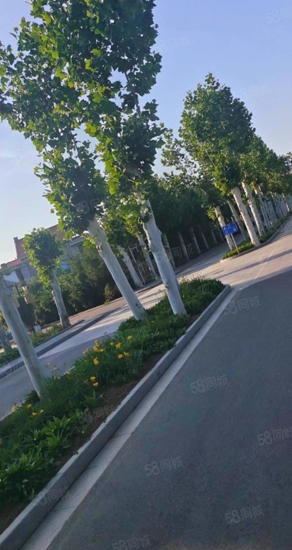 水色時光別墅4室2廳4衛(wèi)291.99㎡南北527萬