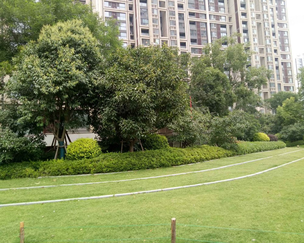 【三王庄滨河花园, 三王庄滨河花园小区详情,房价走势,房源,业主论坛