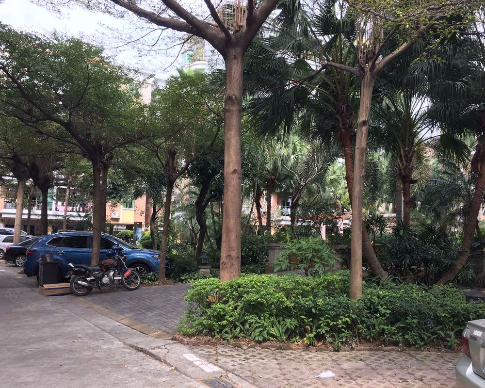 【隆盛花园, 隆盛花园小区详情,房价走势,房源,业主论坛】- 中山58