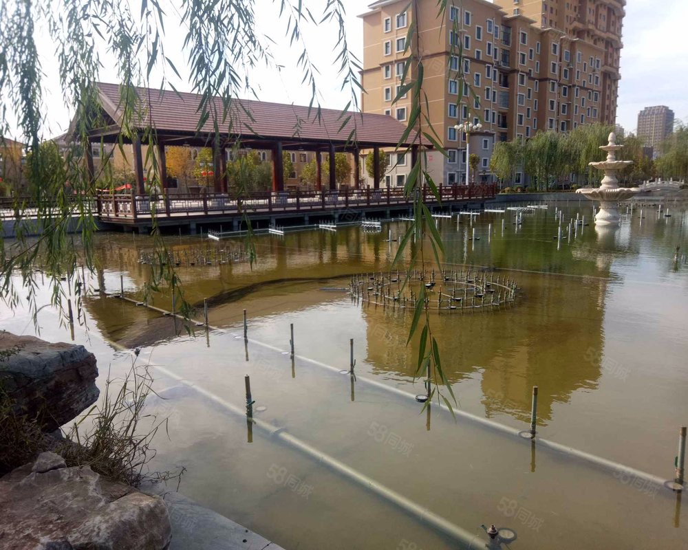 【中景华庭b区(公寓住宅), 中景华庭b区(公寓住宅)小区详情,房价走势