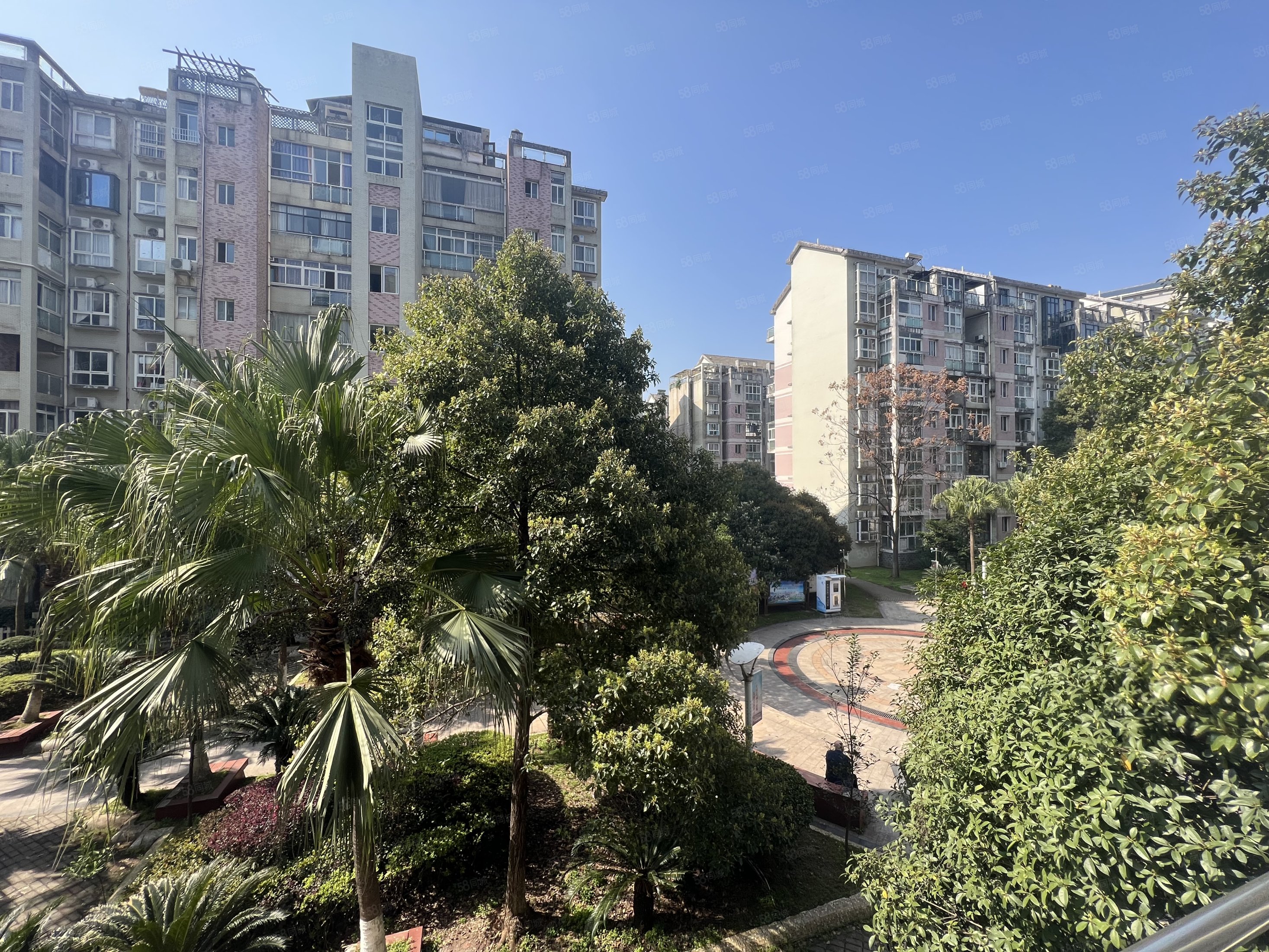 凤凰山庄3室2厅2卫143㎡南北62.8万