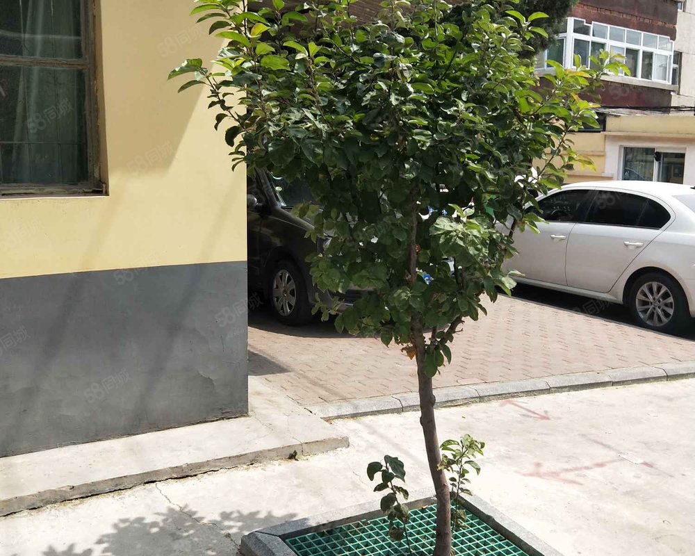 【红星小区(任城), 红星小区(任城)小区详情,房价走势,房源,业主论坛