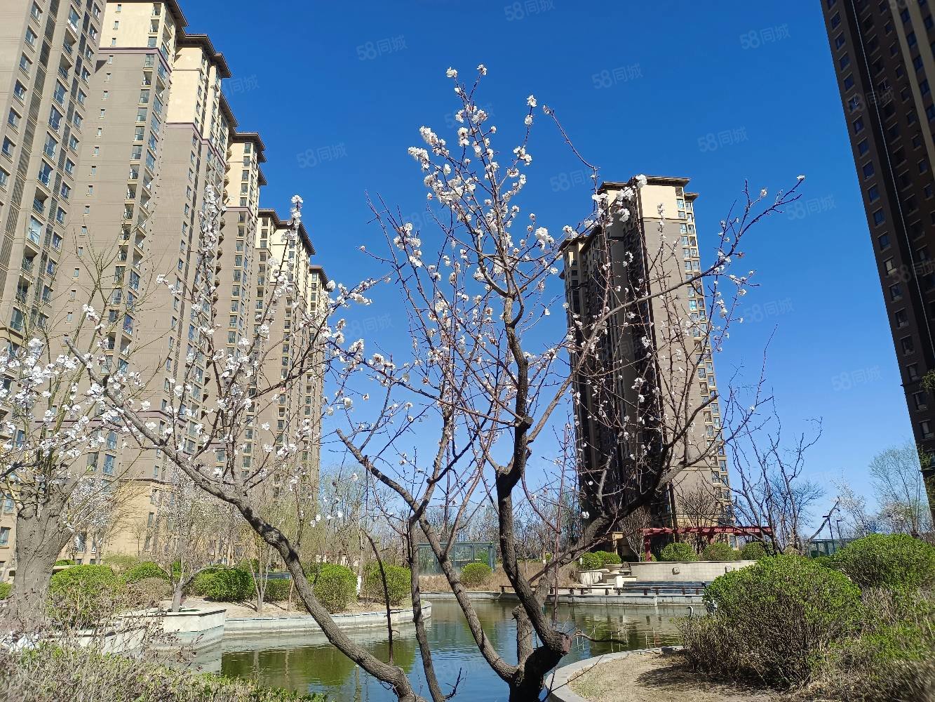 >廊坊房产信息>廊坊二手房>香河二手房>高速口二手房>白鹭岛清芦屿>