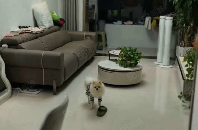 民生城市之尊(东昌府) 购物方便 产权清晰 次新房 交通便捷