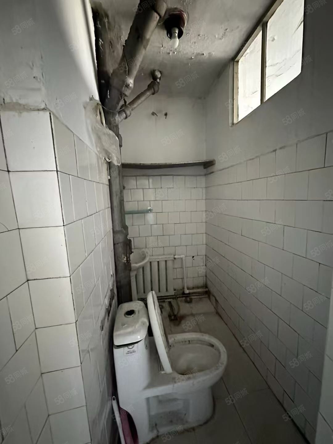 林业小区3室1厅1卫68㎡东西15万