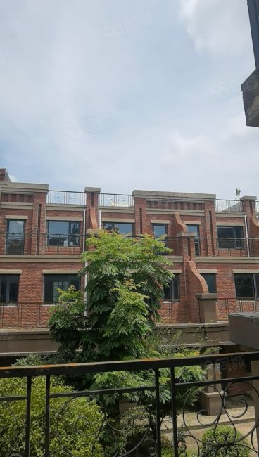 盘龙城小联排别墅 70年产权 低密宜居 近地铁毗邻奥莱,f绿岛艺墅-武汉