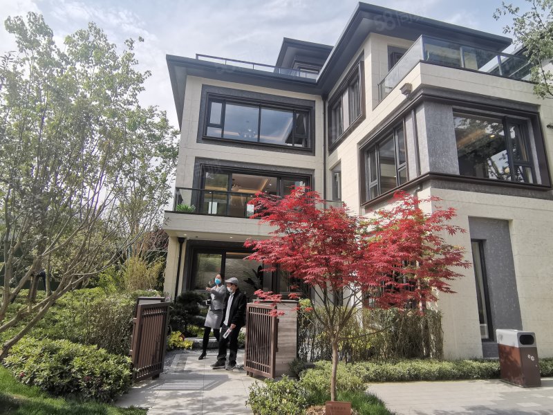 第六代环湖别墅 校区房实得450平买4层得6层 送车库