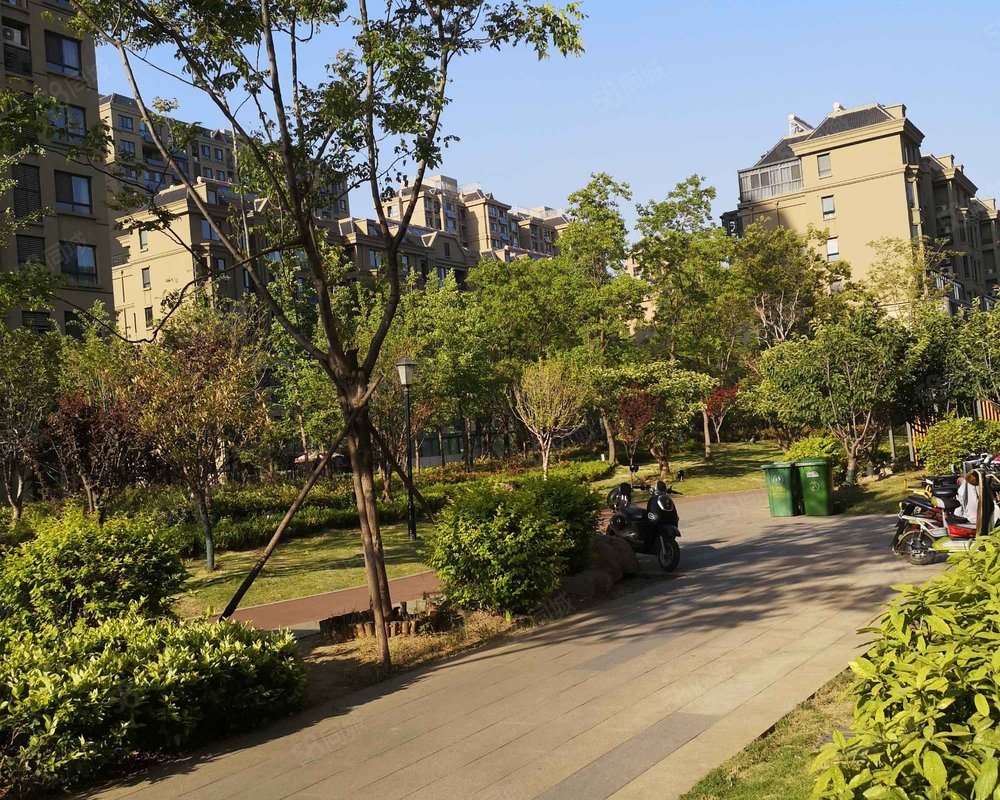 【瑞嘉容园, 瑞嘉容园小区详情,房价走势,房源,业主论坛】- 枣庄58