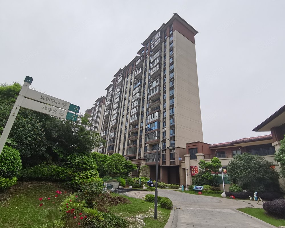 碧桂园s9紫金庄园