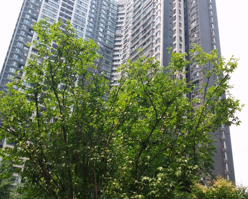 【华韵天府, 华韵天府小区详情,房价走势,房源,业主论坛】- 成都58