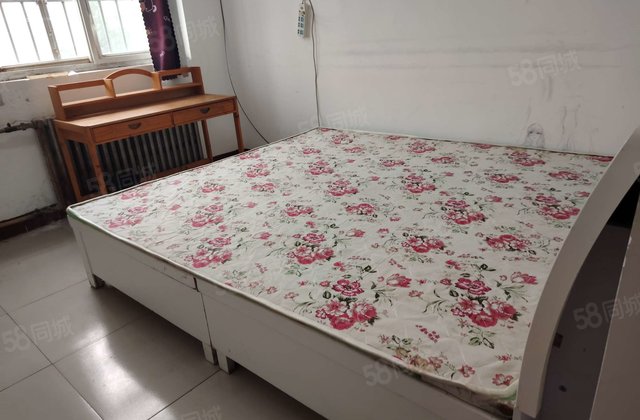 文轩本部 聊大 总价低 随时看房