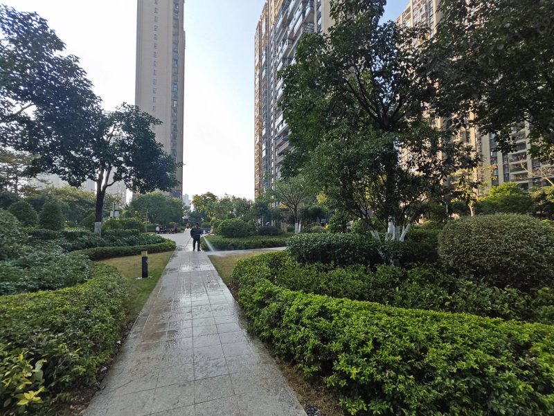 碧桂园太阳城4室2厅2卫135㎡南北95万