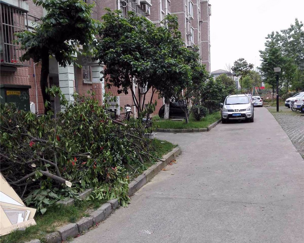 【翠林山庄, 翠林山庄小区详情,房价走势,房源,业主论坛】- 南京58