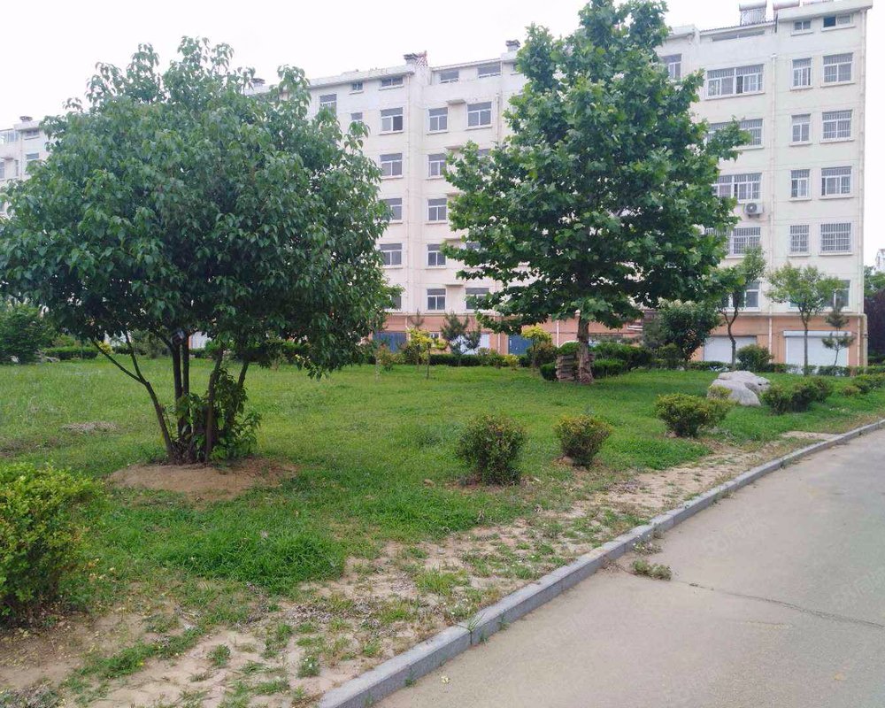 【凯泰庄园, 凯泰庄园小区详情,房价走势,房源,业主论坛】- 临沂58