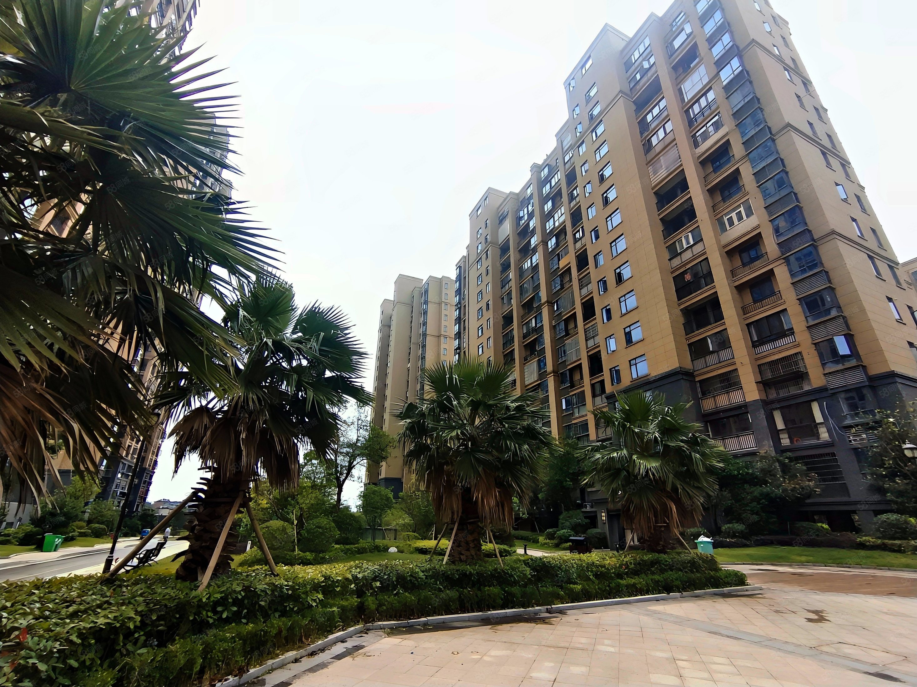 吾悦附近凯旋广场洋房采光前后无挡户型通透