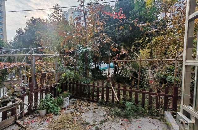 抢老文轩一楼带院 洋房带车位免大税 1梯两户全明边户 环境好