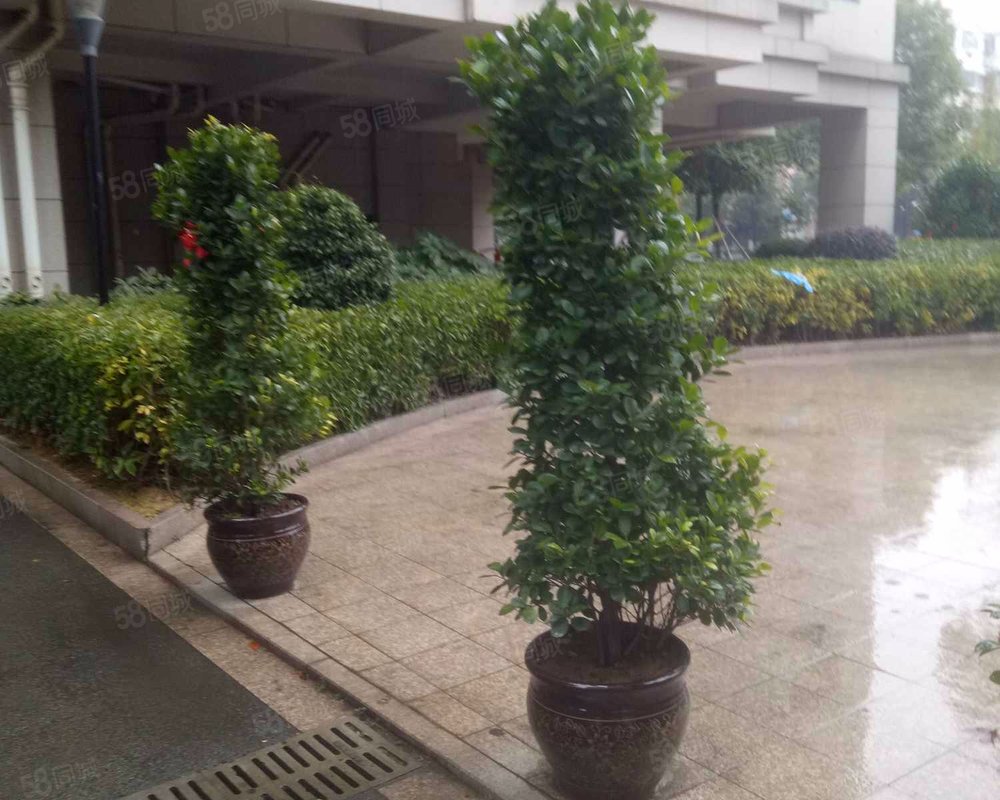 【瑞都景园, 瑞都景园小区详情,房价走势,房源,业主论坛】- 瑞安58