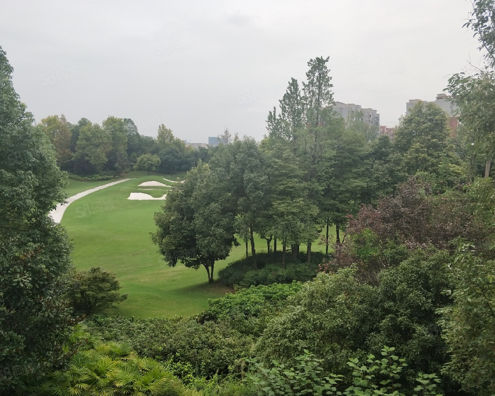 【麓山国际社区, 麓山国际社区小区详情,房价走势,房源,业主论坛】