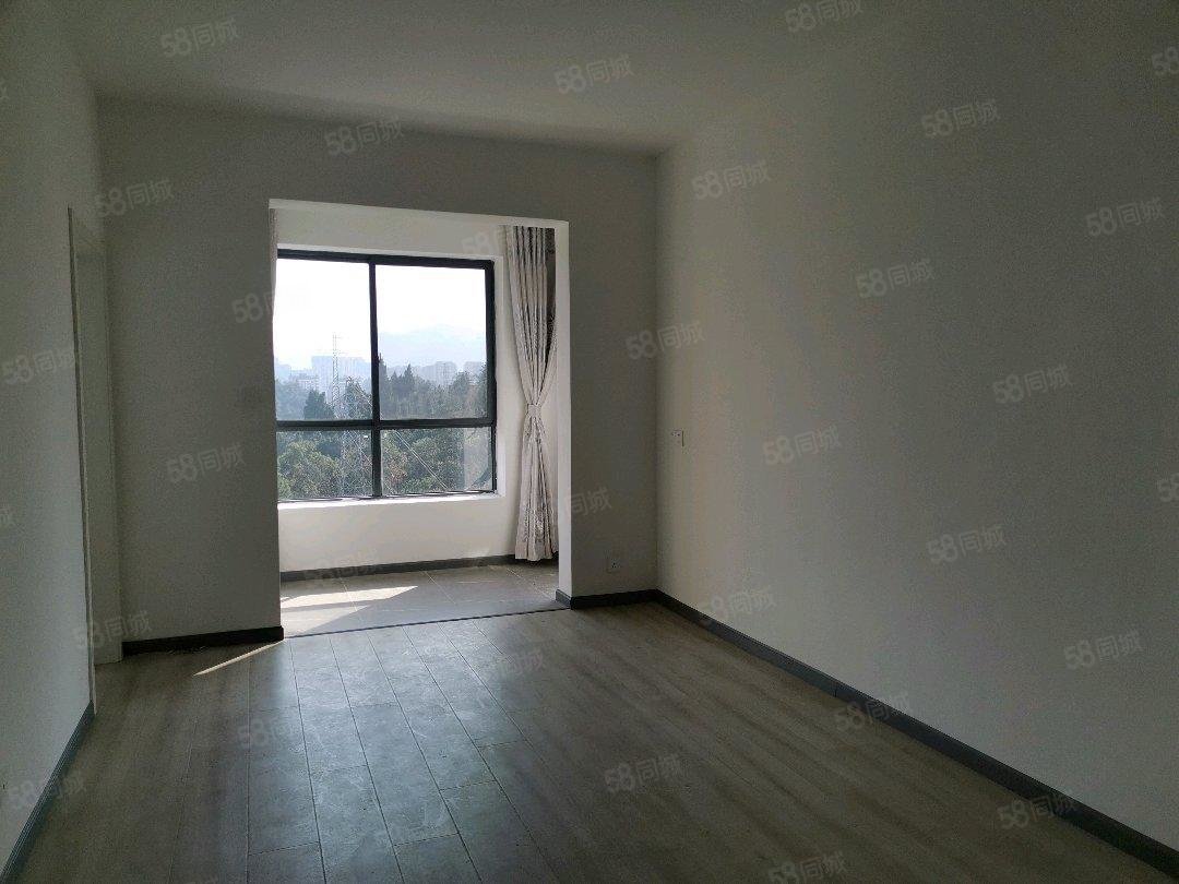 天麟汇景园2室2厅1卫77.43㎡东53.8万