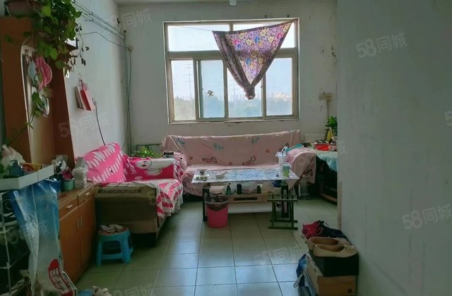 急售，鲁西化肥厂一厂家属院8号楼，房东直卖，送地上储藏室