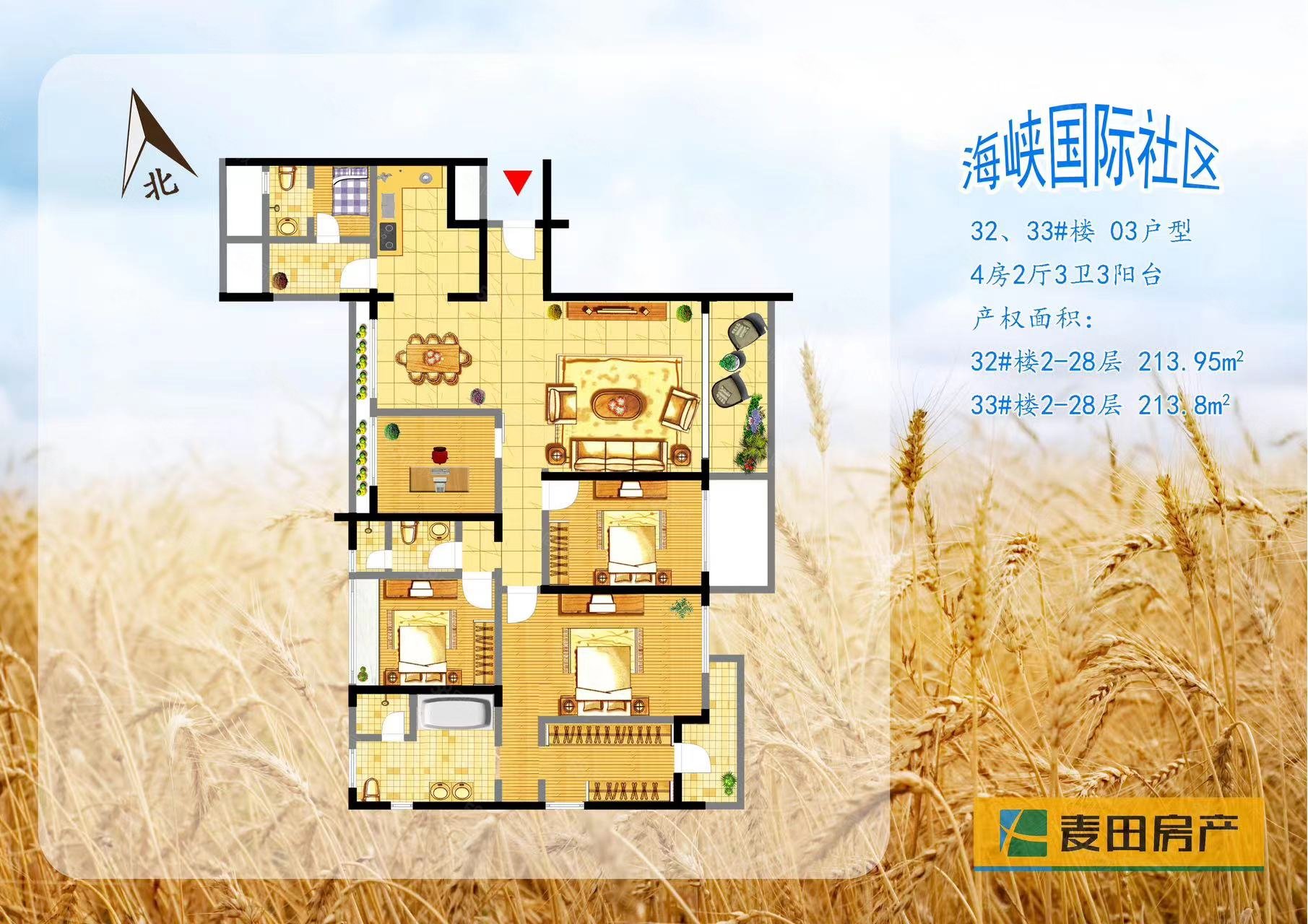 海峡国际社区(三期公寓住宅)4室2厅2卫213.8㎡南北2000万