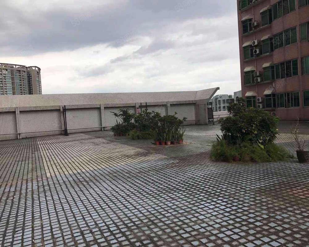 【福民大厦, 福民大厦小区详情,房价走势,房源,业主论坛】- 深圳58