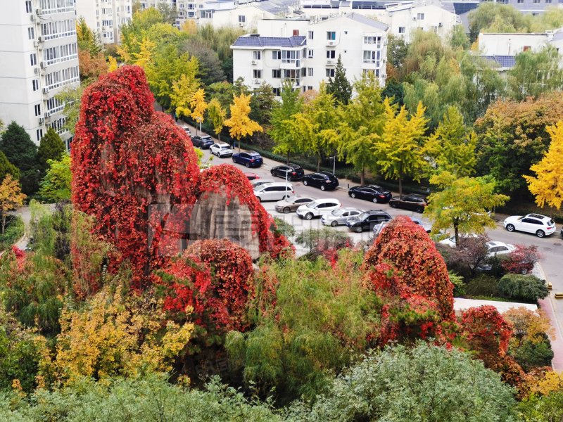 望京花園西區(qū)2室2廳1衛(wèi)80㎡南420萬