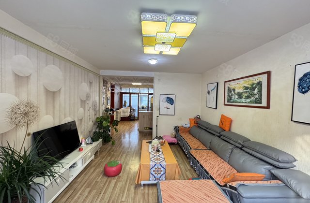 柳园小区北区  划文轩 精装  楼层